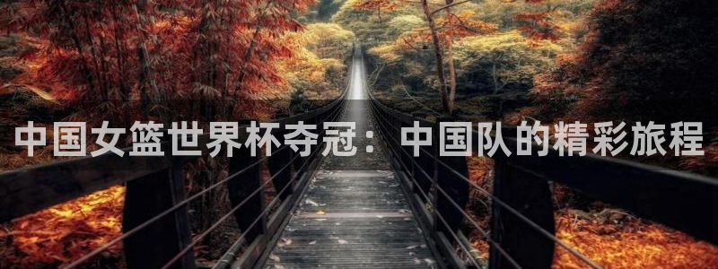 世界杯球队:中国女篮世界杯夺冠:中国队的精彩旅程