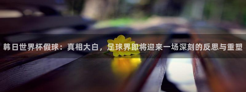 世界杯球赛:韩日世界杯假球:真相大白,足球界即将迎来一场深刻的反思与重塑