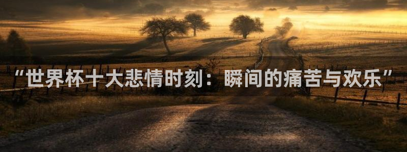2026世界杯对阵图:“世界杯十大悲情时刻:瞬间的痛苦与欢乐”